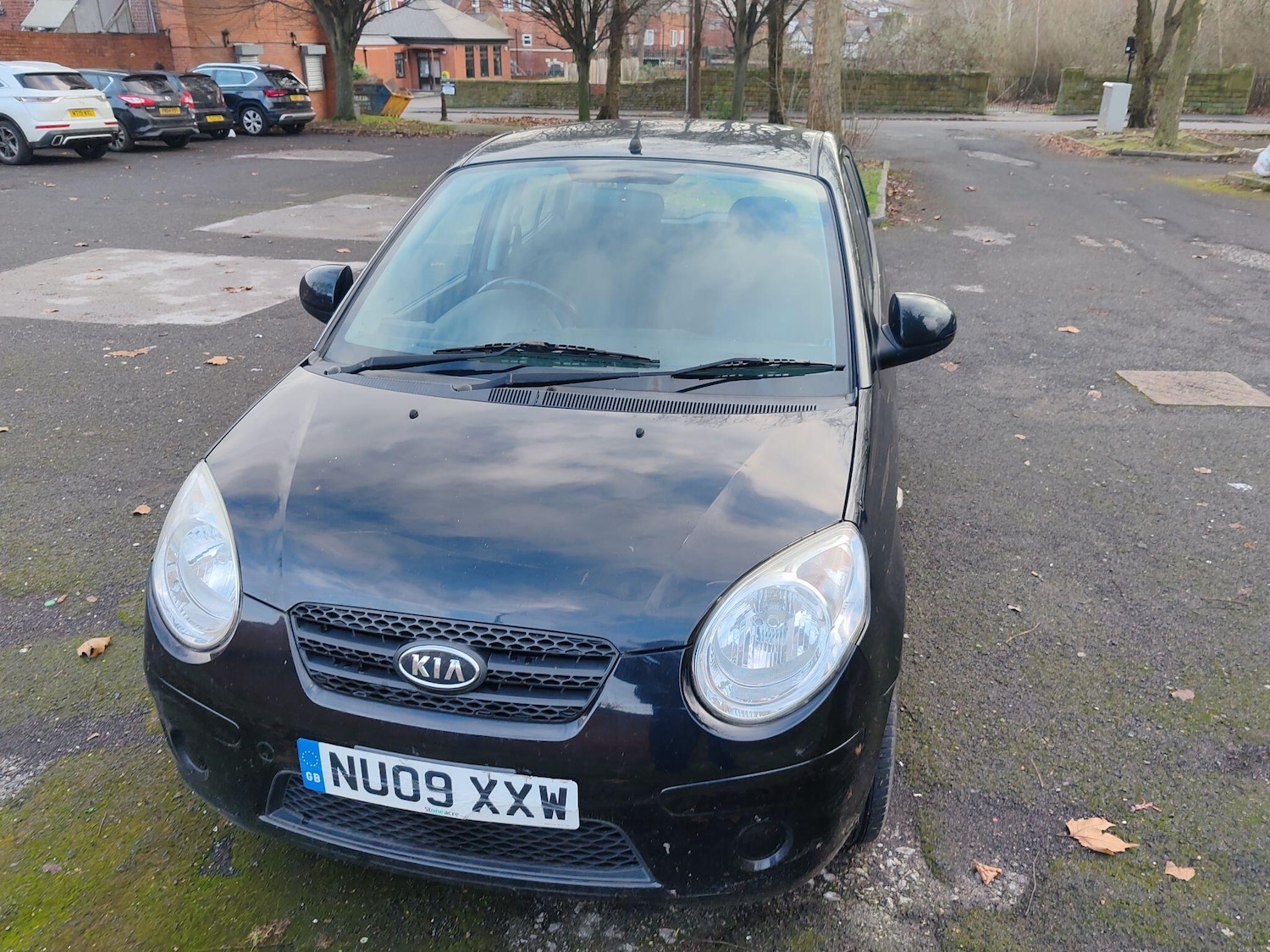 Used Kia Picanto 2009 for sale - 77376410: Photo 4