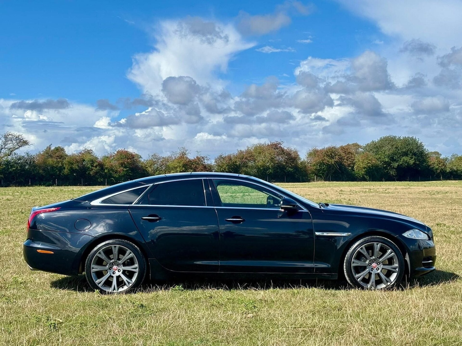 Used Jaguar XJ 2012 for sale - 77774567: Photo 2