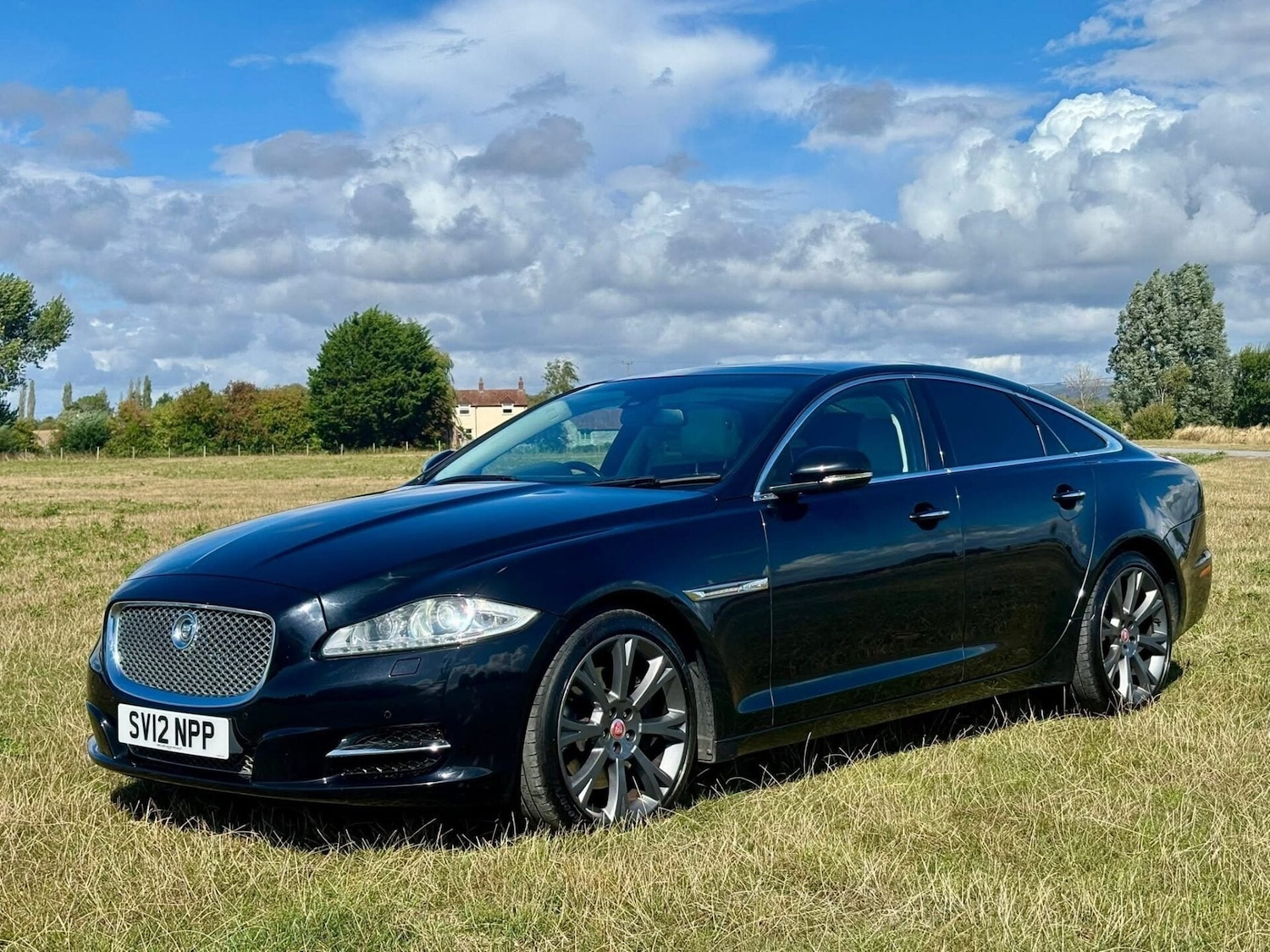 Used Jaguar XJ 2012 for sale - 77774567: Photo 6