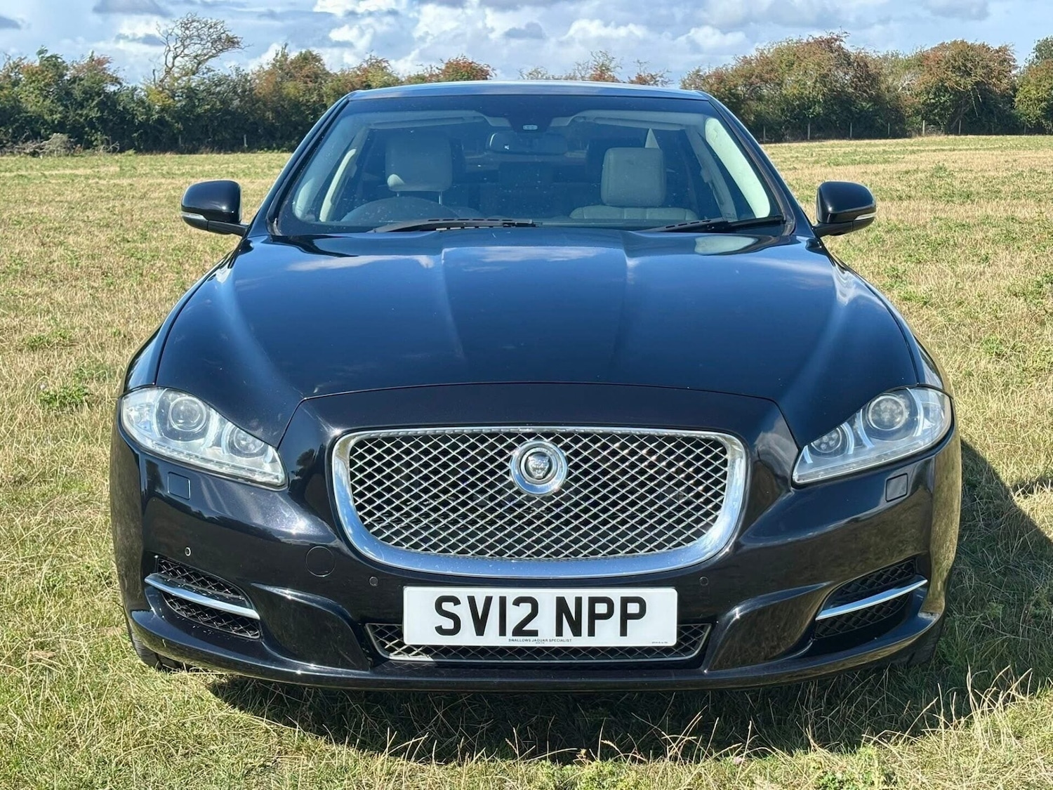 Used Jaguar XJ 2012 for sale - 77774567: Photo 9