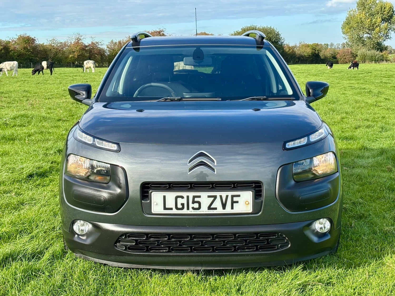 Used Citroen C4 Cactus 2015 for sale - 76126594: Photo 4