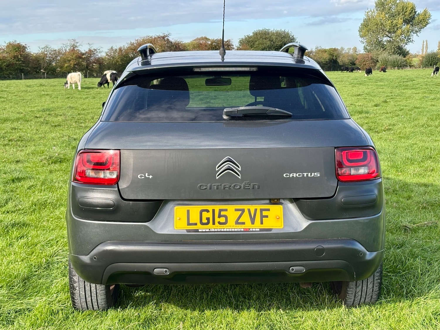 Used Citroen C4 Cactus 2015 for sale - 76126594: Photo 5