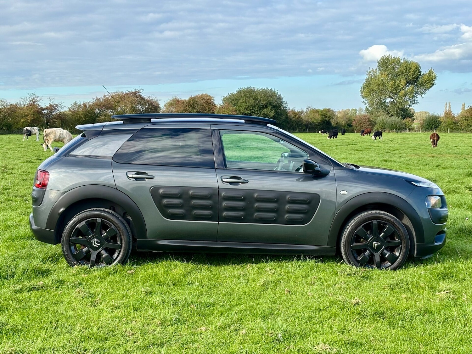 Used Citroen C4 Cactus 2015 for sale - 76126594: Photo 7