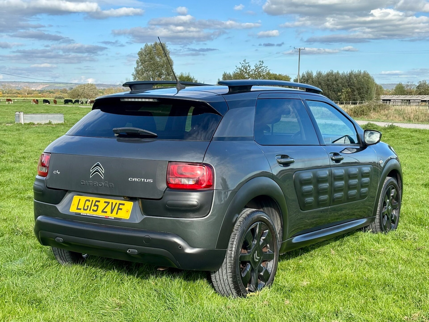 Used Citroen C4 Cactus 2015 for sale - 76126594: Photo 8
