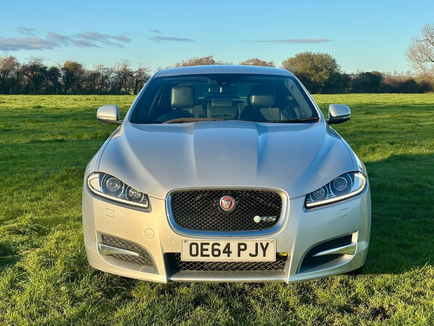 Used Jaguar XF 2014 for sale - 76706020: Photo 5