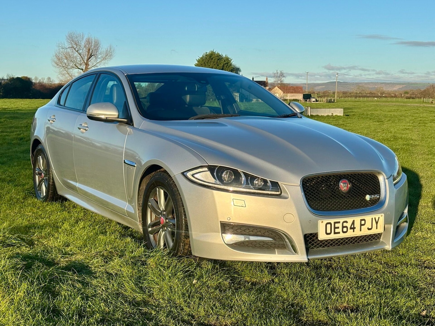 Used Jaguar XF 2014 for sale - 76706020: Photo 7