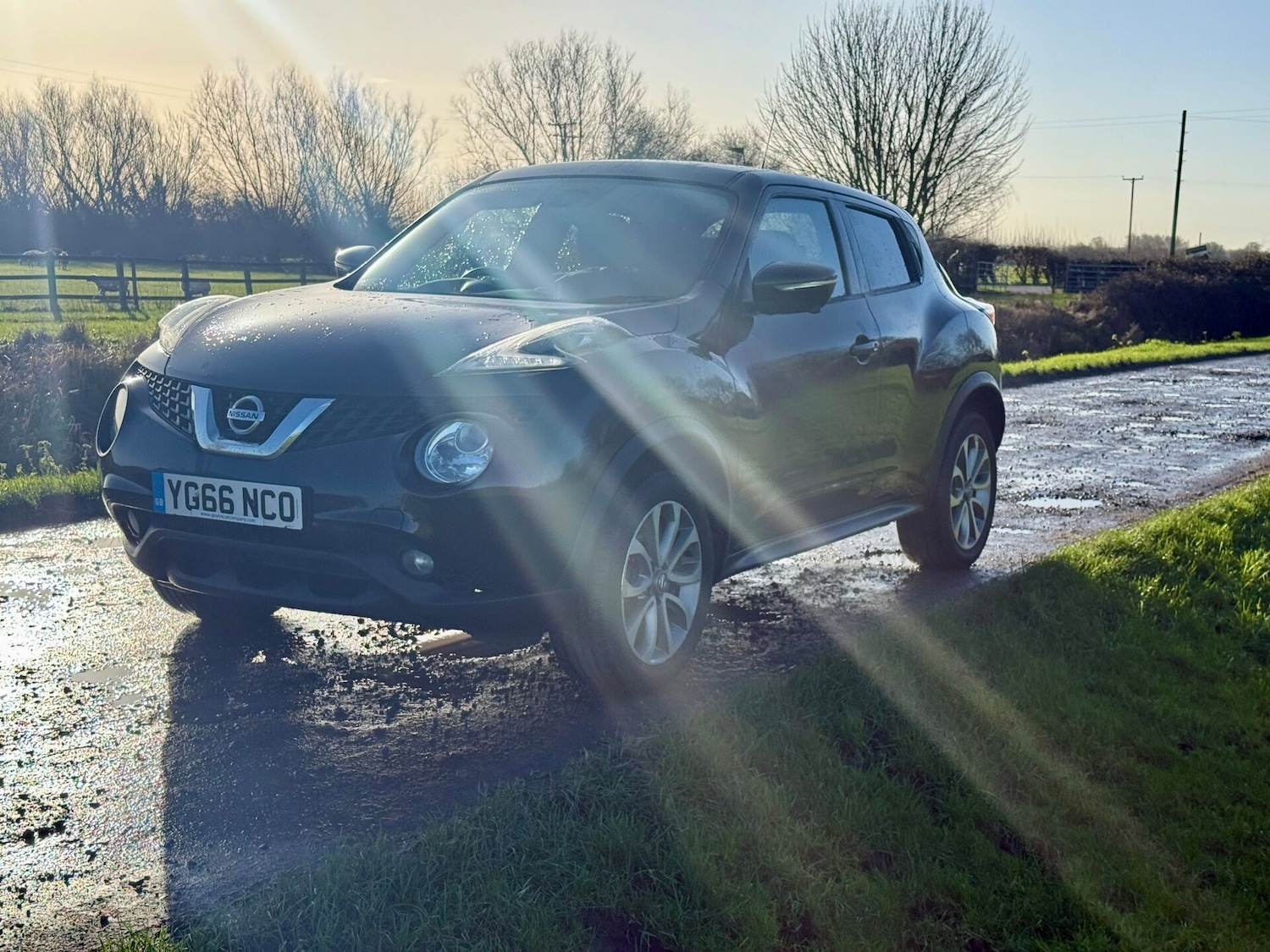 Used Nissan Juke 2016 for sale - 77077916: Photo 3