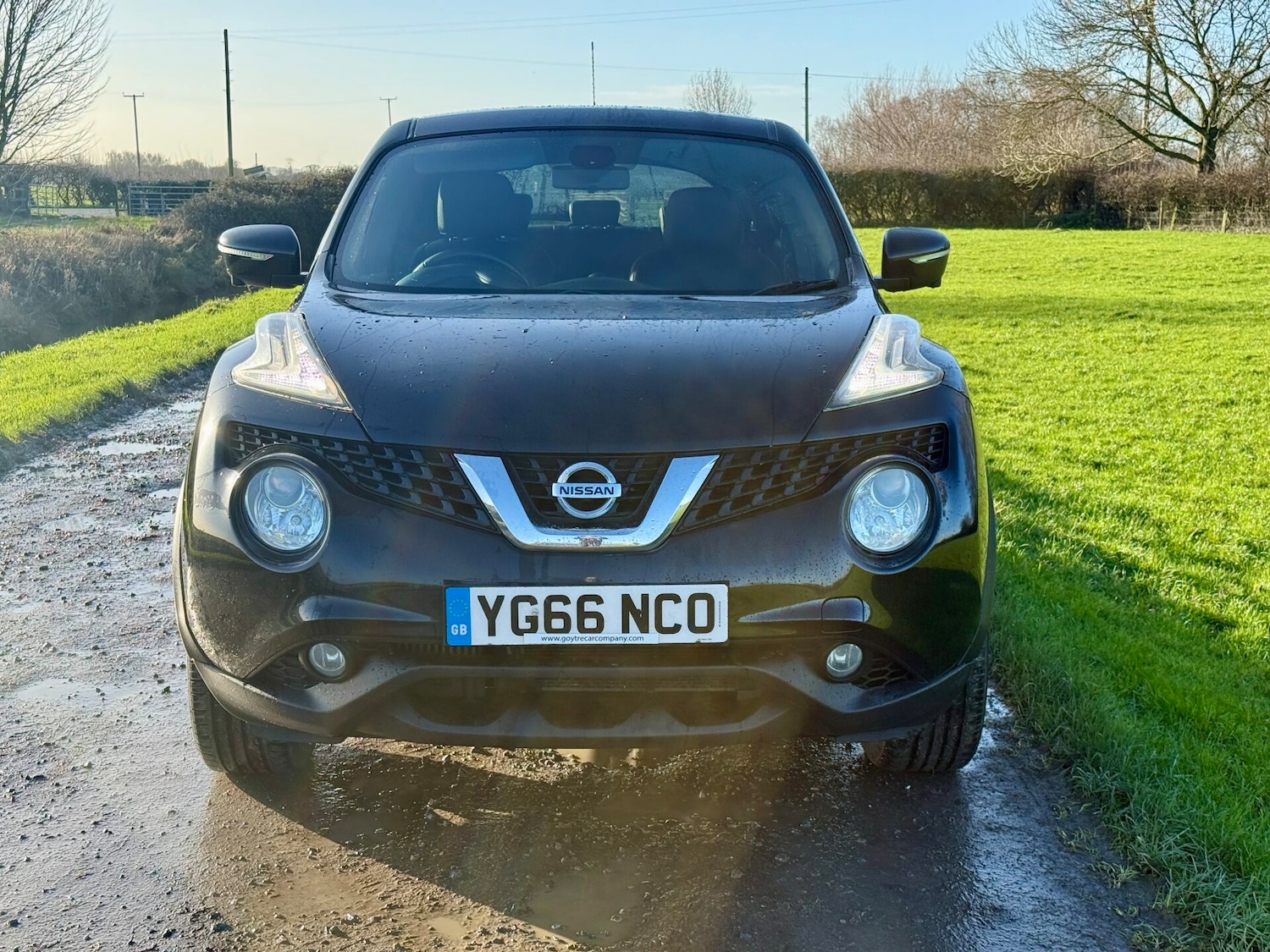 Used Nissan Juke 2016 for sale - 77077916: Photo 6