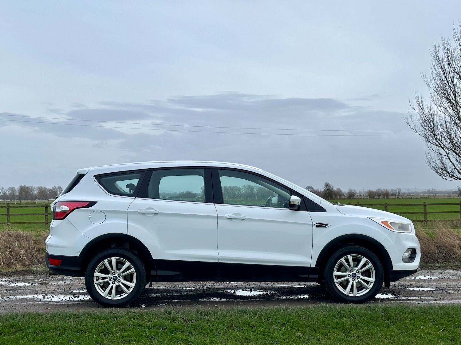 Used Ford Kuga 2017 for sale - 77541496: Photo 7