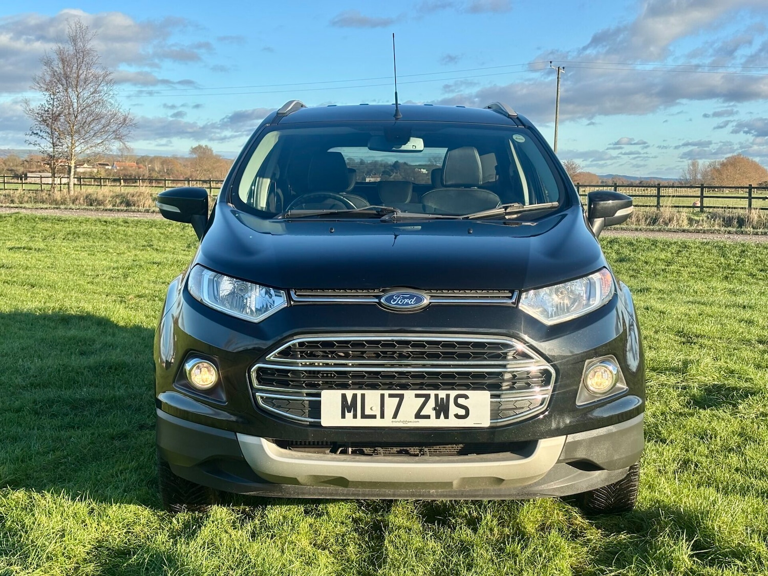 Used Ford Ecosport 2017 for sale - 76697448: Photo 4