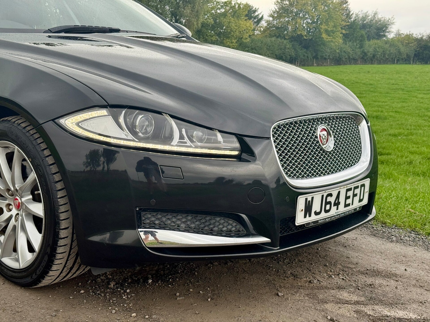 Used Jaguar XF 2014 for sale - 75999451: Photo 2