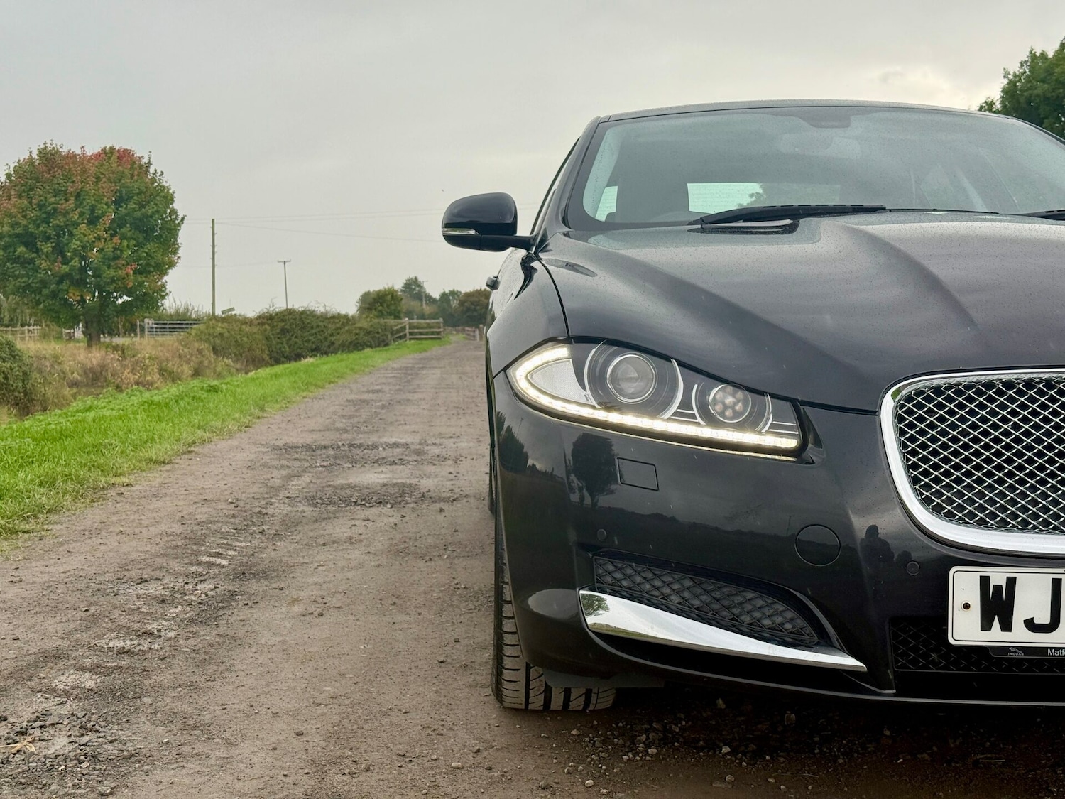 Used Jaguar XF 2014 for sale - 75999451: Photo 3