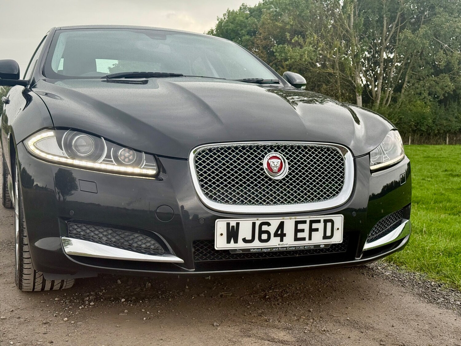 Used Jaguar XF 2014 for sale - 75999451: Photo 4