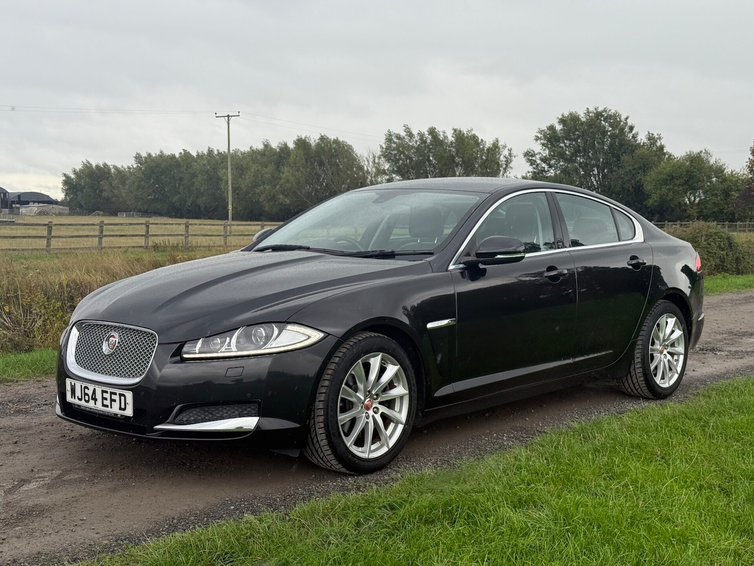 Used Jaguar XF 2014 for sale - 75999451: Photo 5