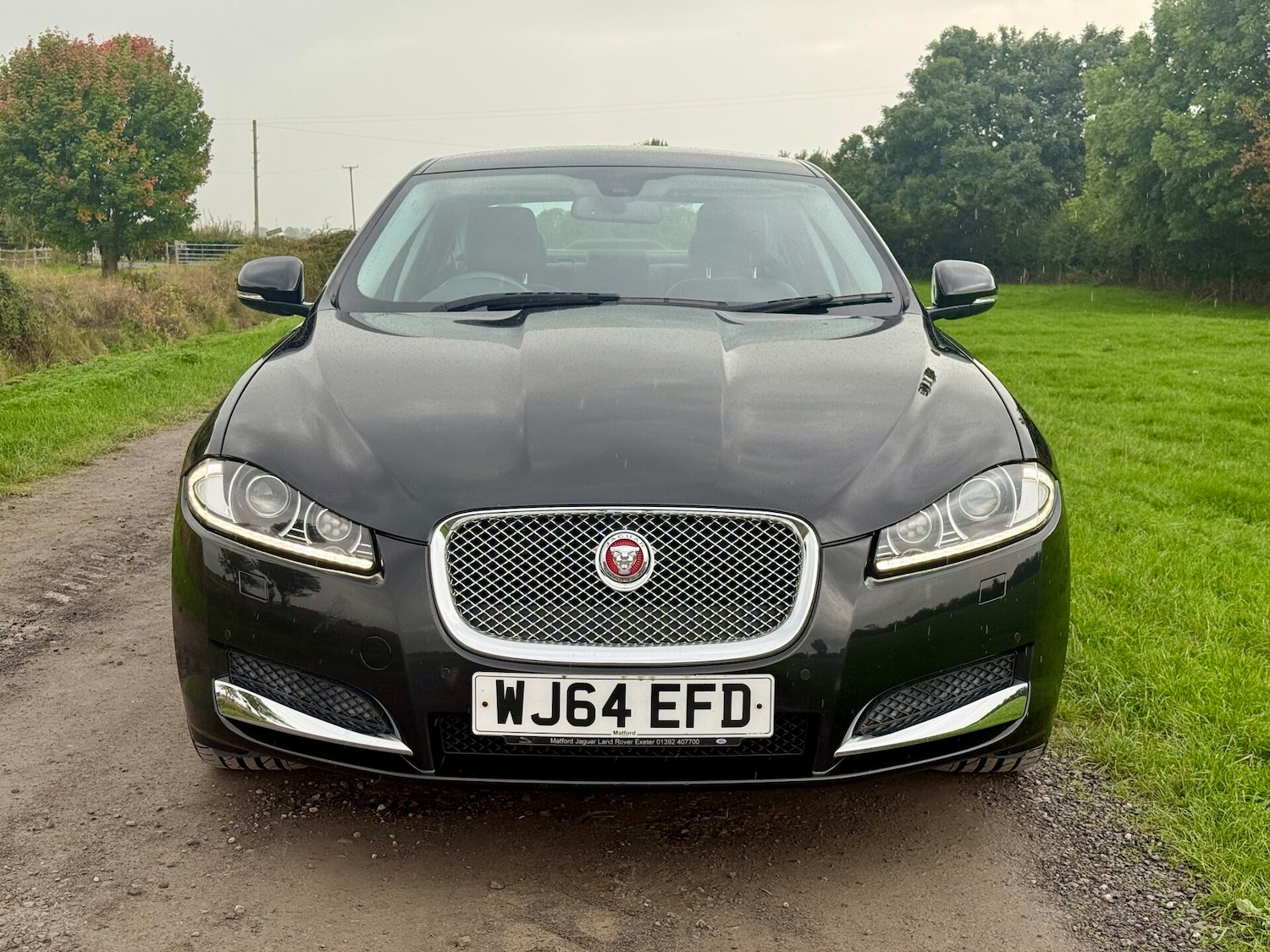 Used Jaguar XF 2014 for sale - 75999451: Photo 7