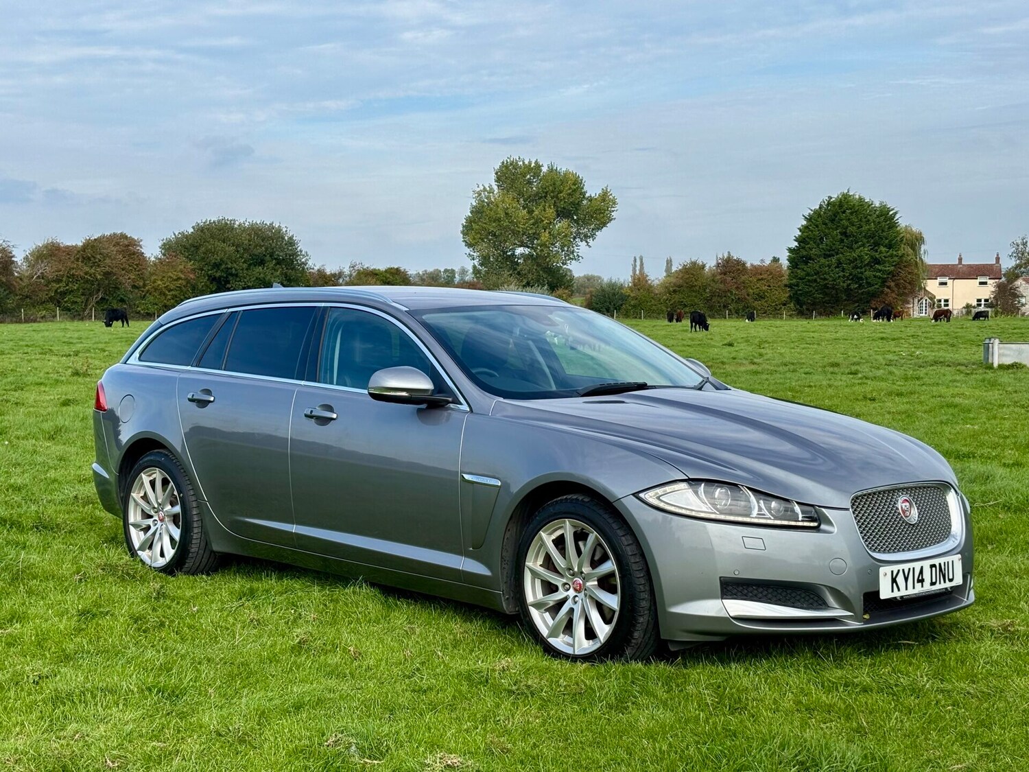 Used Jaguar XF 2014 for sale - 76142774: Photo 6