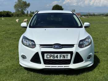 Used Ford Focus 2014 for sale - 74753894: Photo