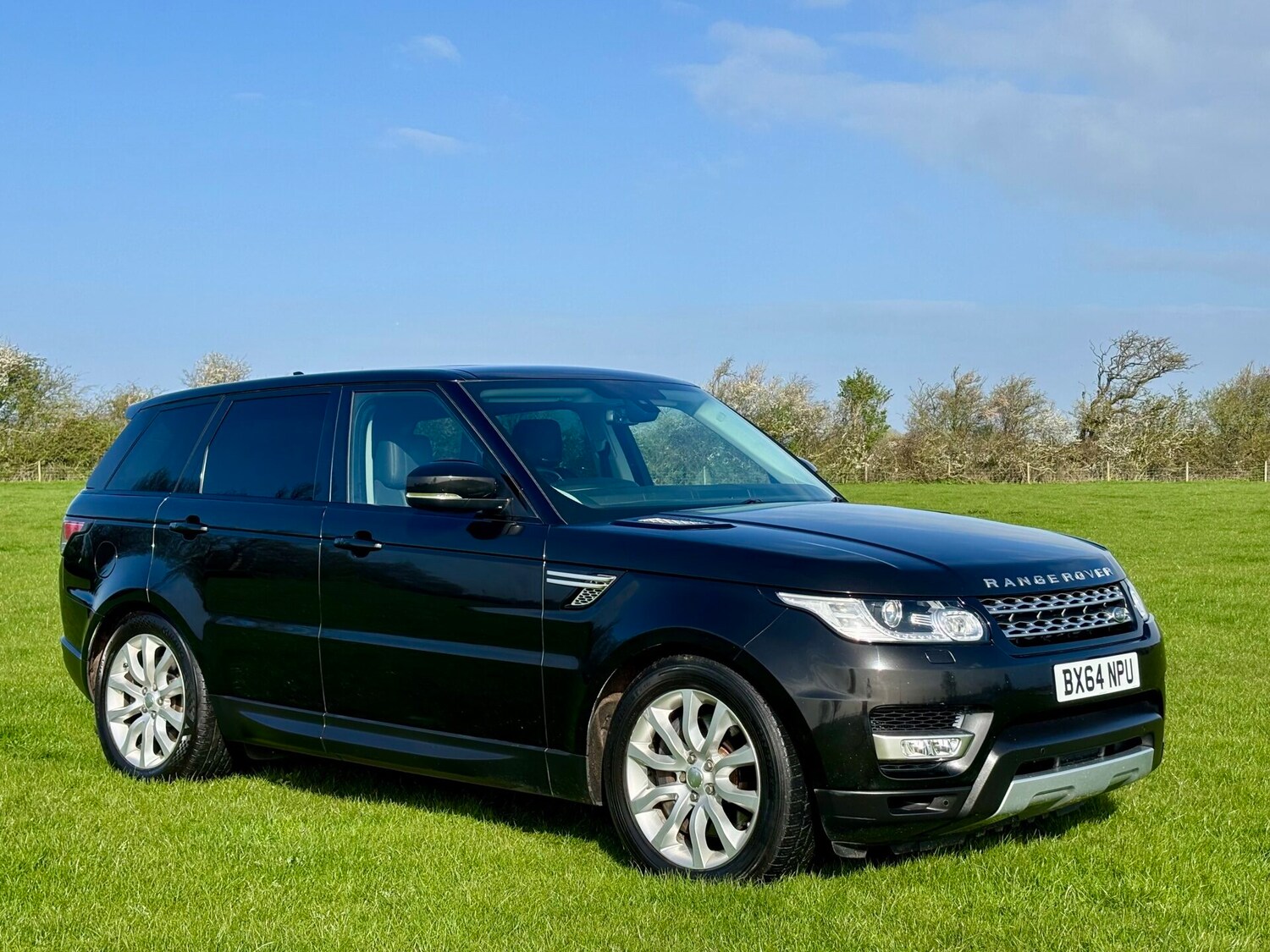 Used Land Rover Range Rover Sport 2014 for sale - 78077976: Photo 6