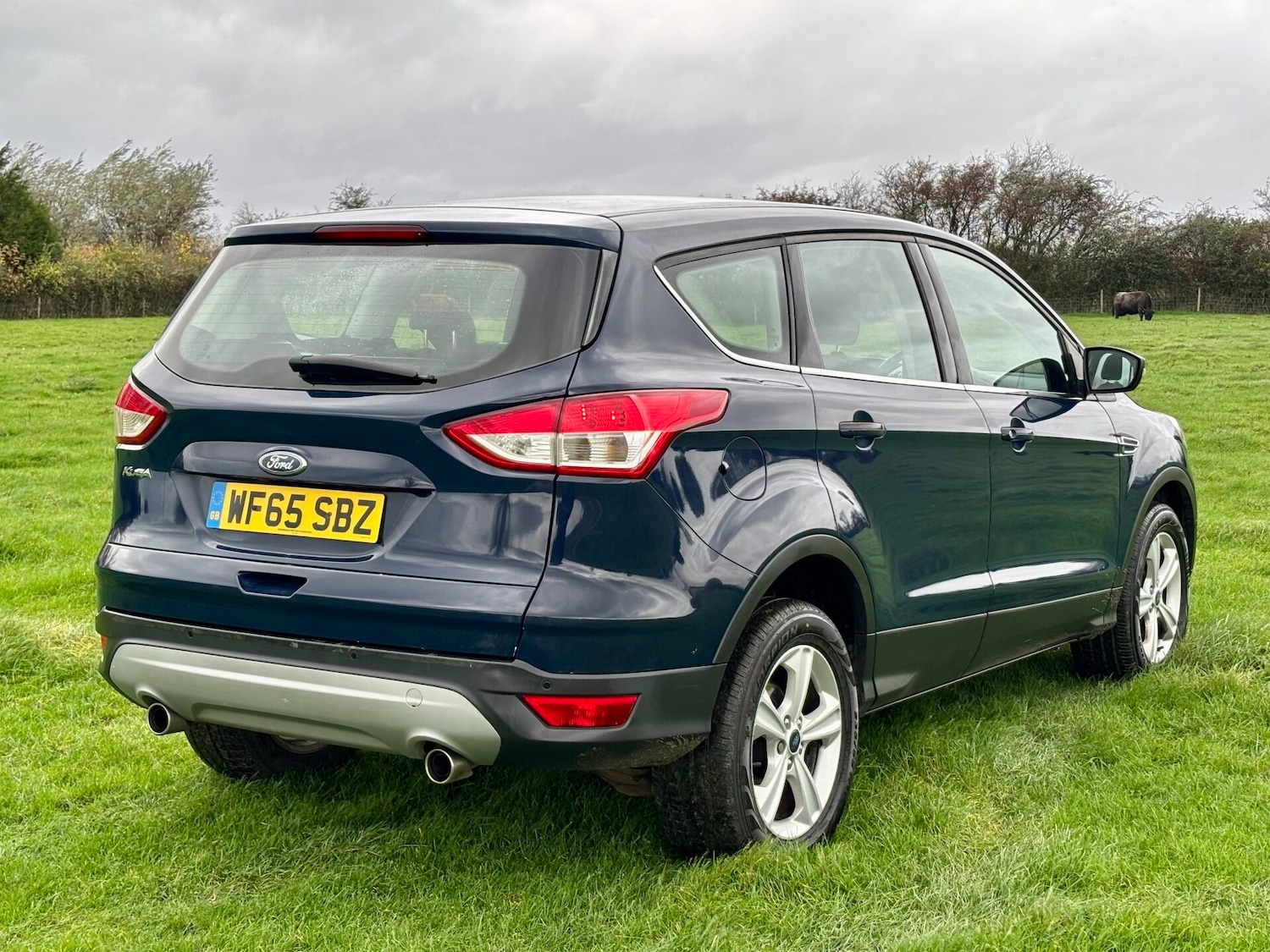 Used Ford Kuga 2015 for sale - 76553811: Photo 3