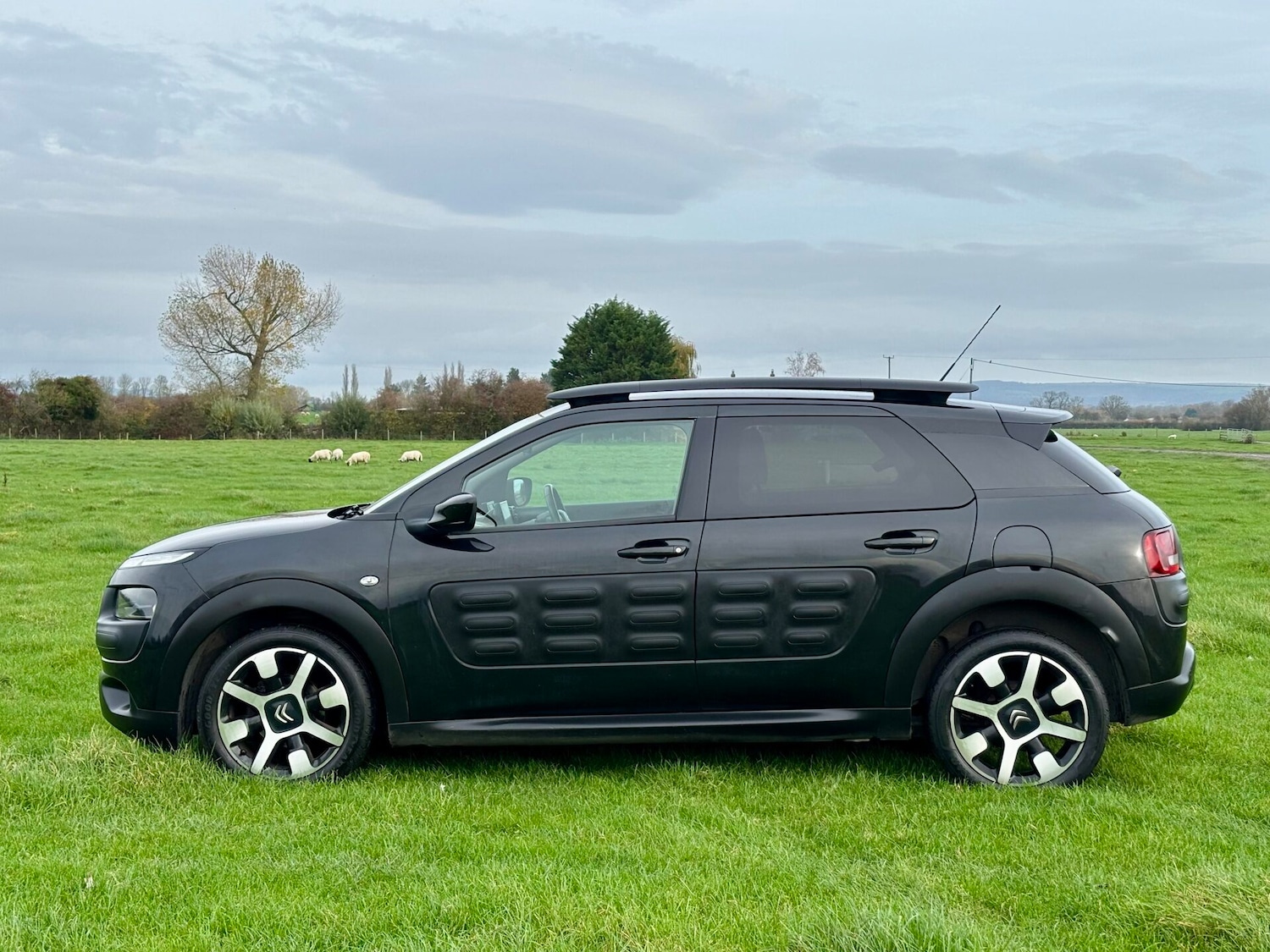 Used Citroen C4 Cactus 2015 for sale - 76565017: Photo 2