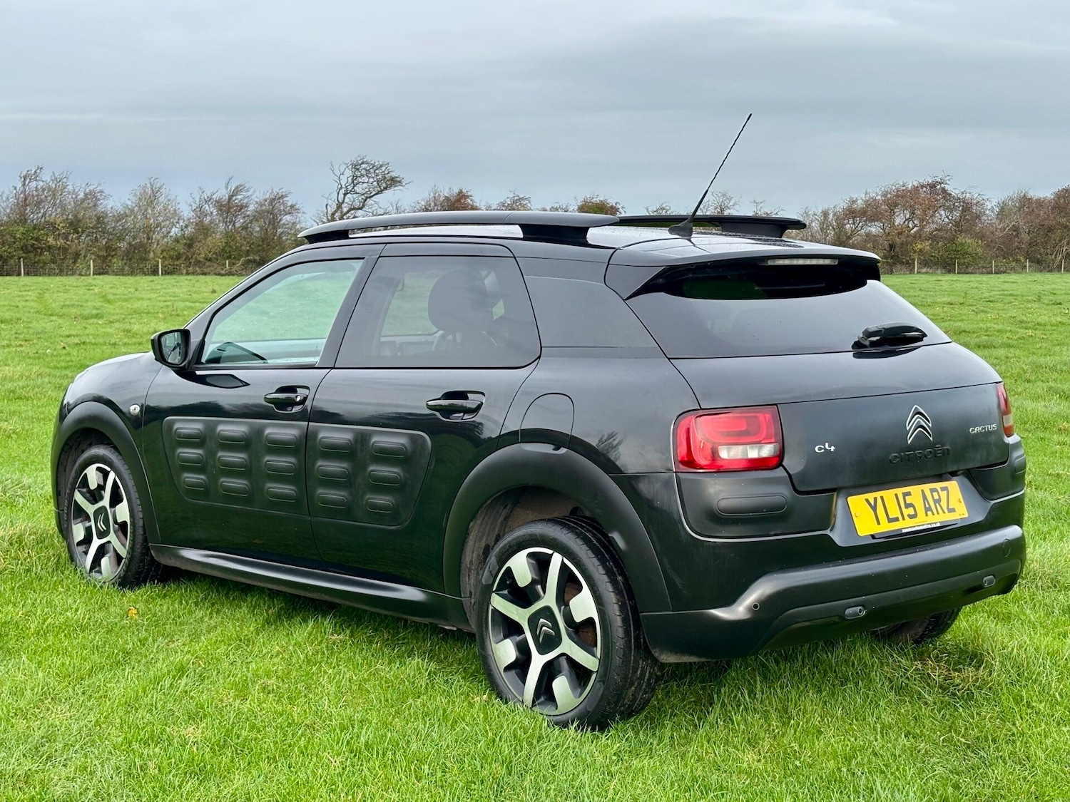 Used Citroen C4 Cactus 2015 for sale - 76565017: Photo 3