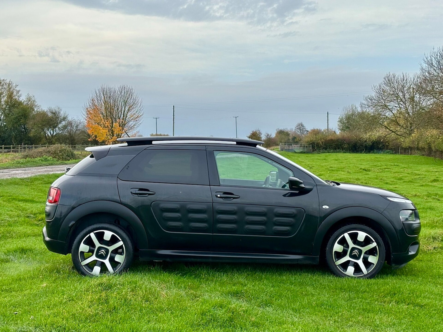 Used Citroen C4 Cactus 2015 for sale - 76565017: Photo 8