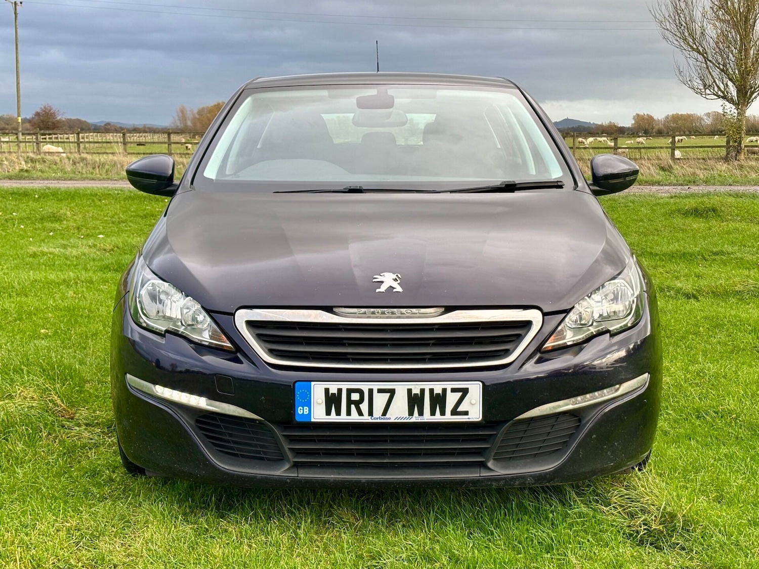 Used Peugeot 308 2017 for sale - 76461331: Photo 4