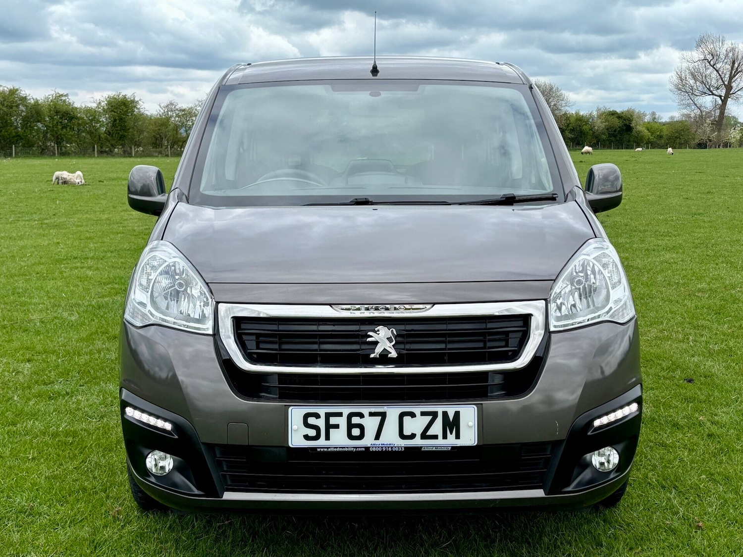 Vehicle 6