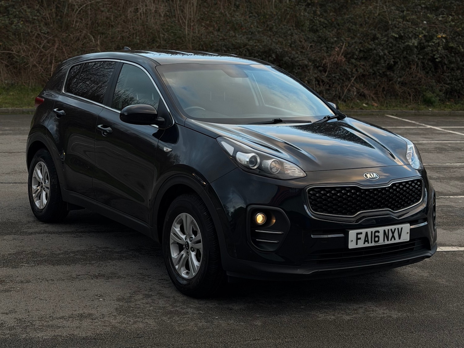 Used Kia Sportage 2016 for sale - 77008526: Photo 10