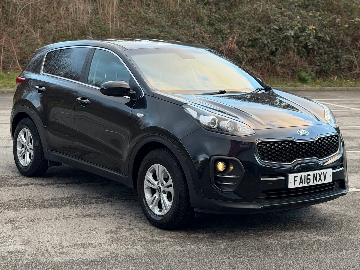 Used Kia Sportage 2016 for sale - 77008526: Photo 11