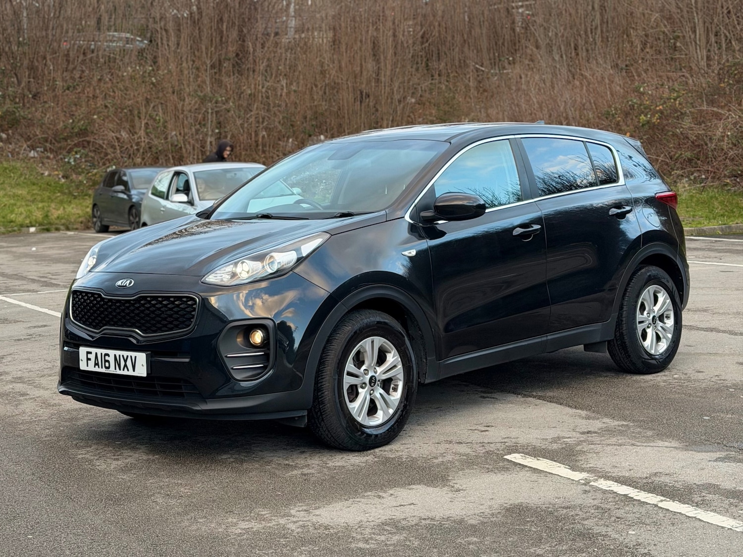 Used Kia Sportage 2016 for sale - 77008526: Photo 7