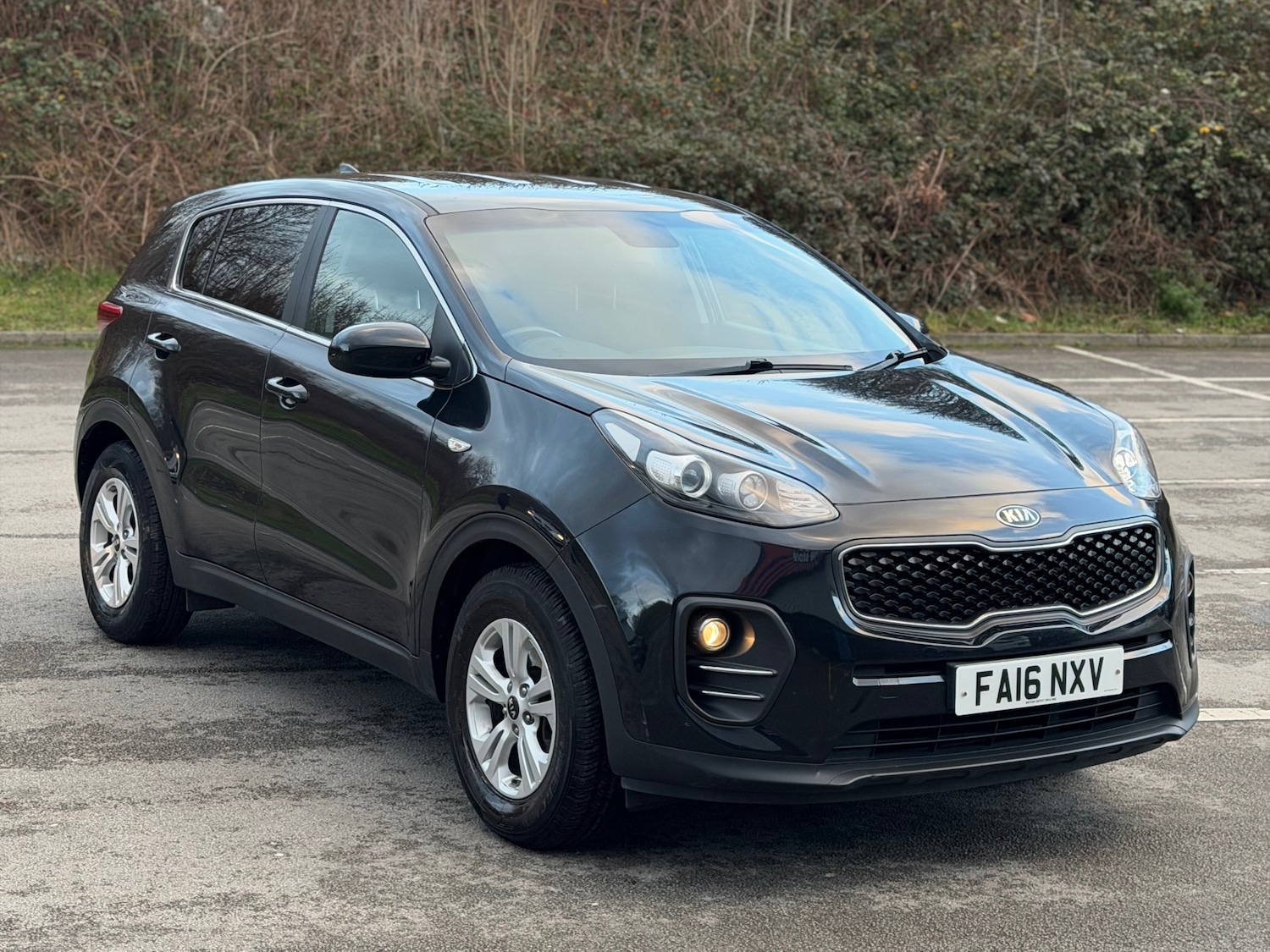Used Kia Sportage 2016 for sale - 77008526: Photo 9