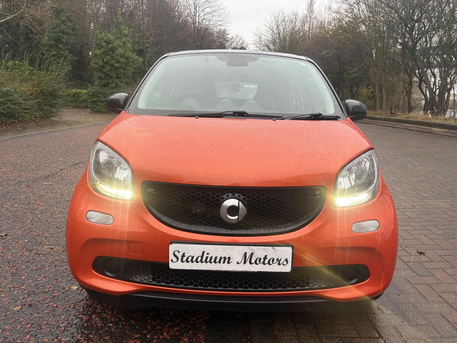 Used smart forfour 2018 for sale - 77269462: Photo 14