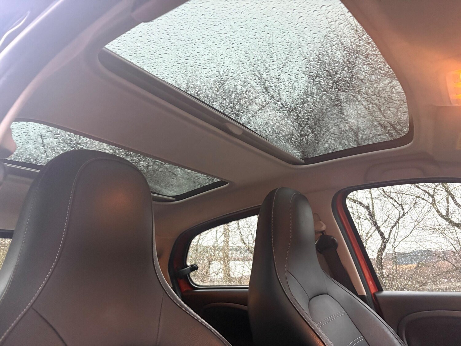 Used smart forfour 2018 for sale - 77269462: Photo 36