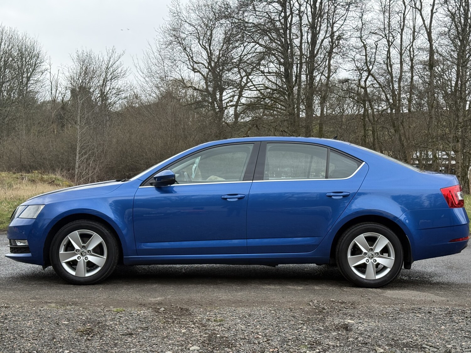 Used Skoda Octavia 2019 for sale - 78182765: Photo 9