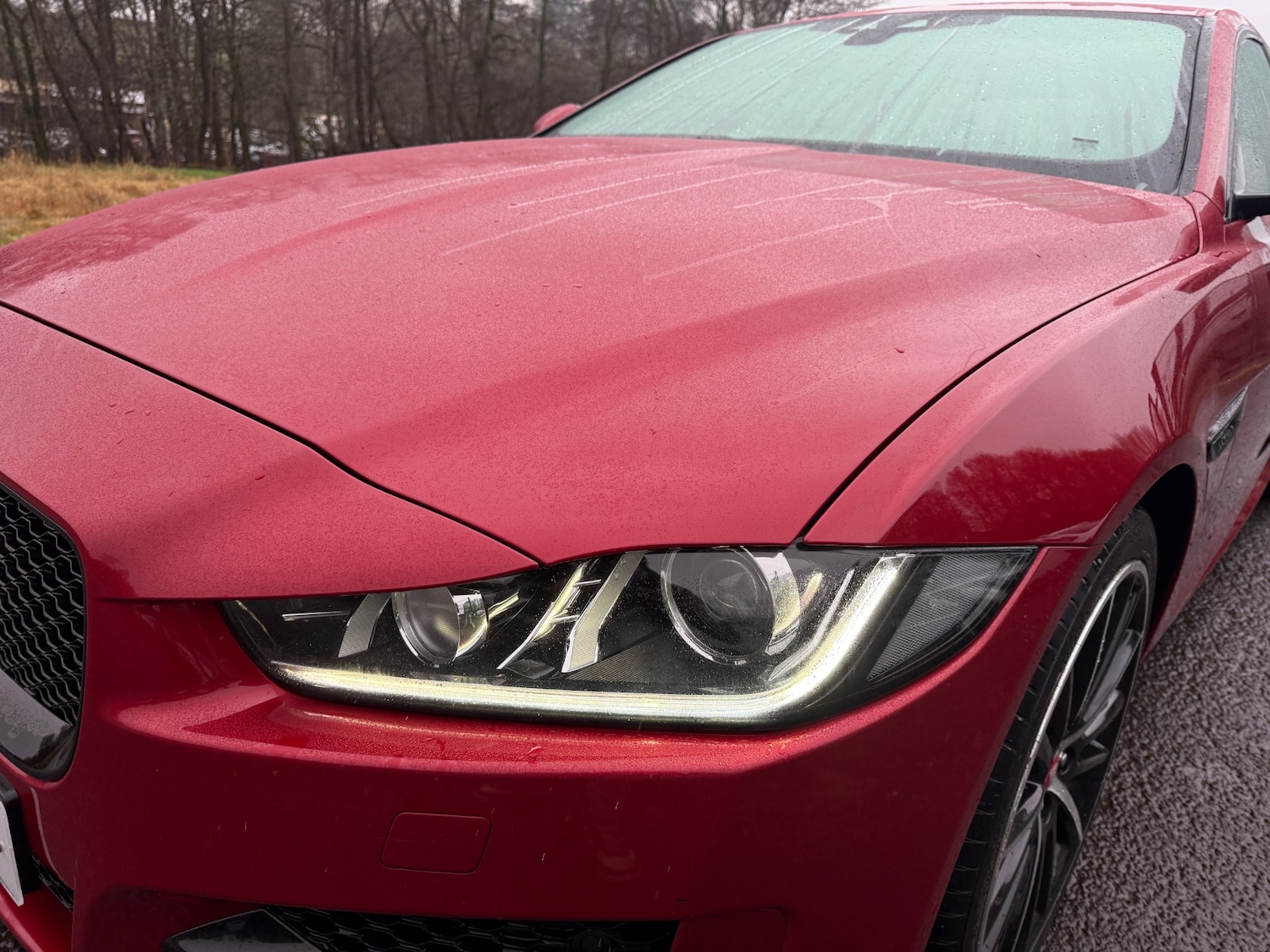 Used Jaguar XE 2017 for sale - 77039198: Photo 11