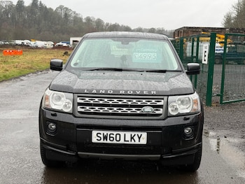 Used Land Rover Freelander 2010 for sale - 77707541: Photo