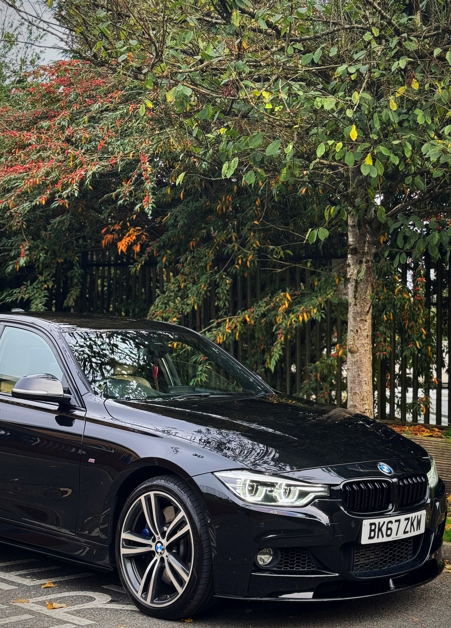 Used BMW 3 Series 2017 for sale - 76314134: Photo 9