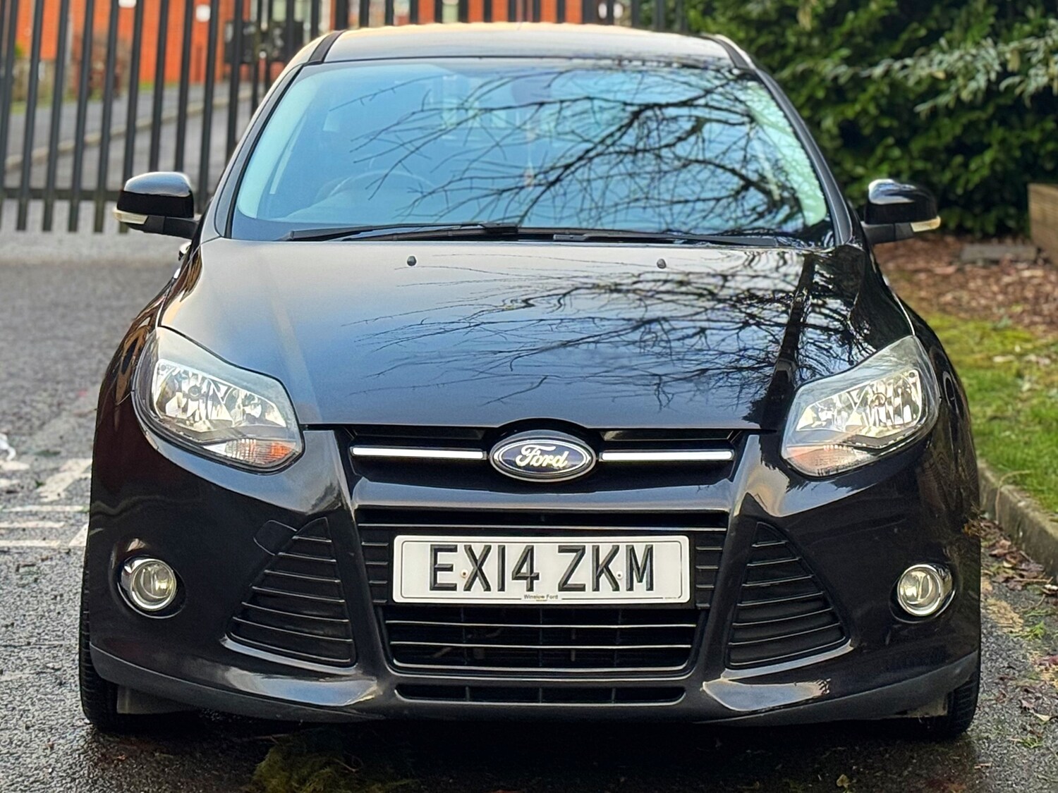 Used Ford Focus 2014 for sale - 77342833: Photo 10