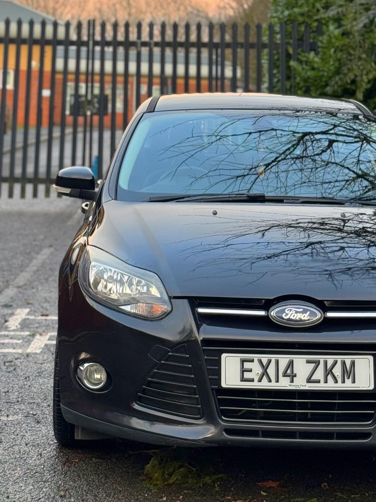 Used Ford Focus 2014 for sale - 77342833: Photo 11