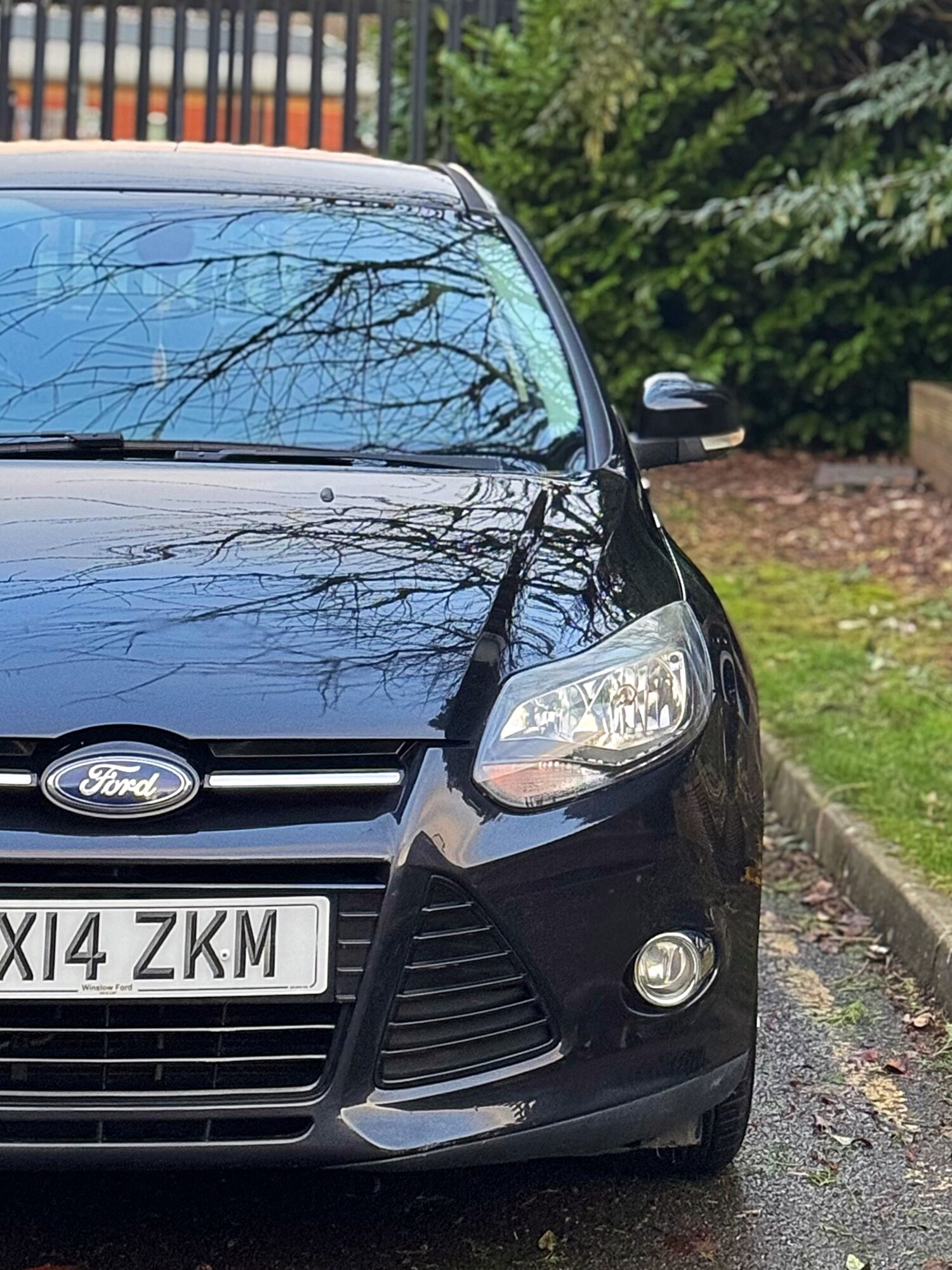 Used Ford Focus 2014 for sale - 77342833: Photo 12