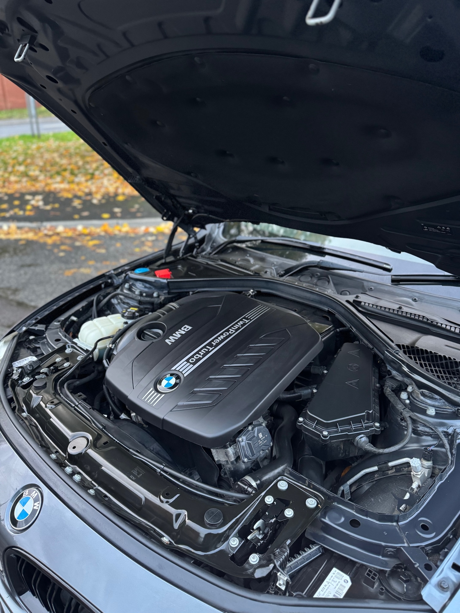 Used BMW 3 Series 2017 for sale - 76358612: Photo 66