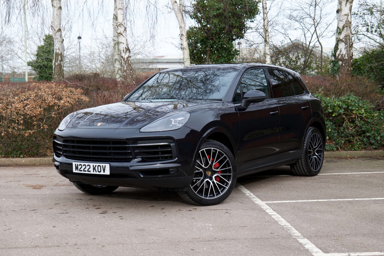 Used Porsche Cayenne 2019 for sale - 76791384: Photo 3