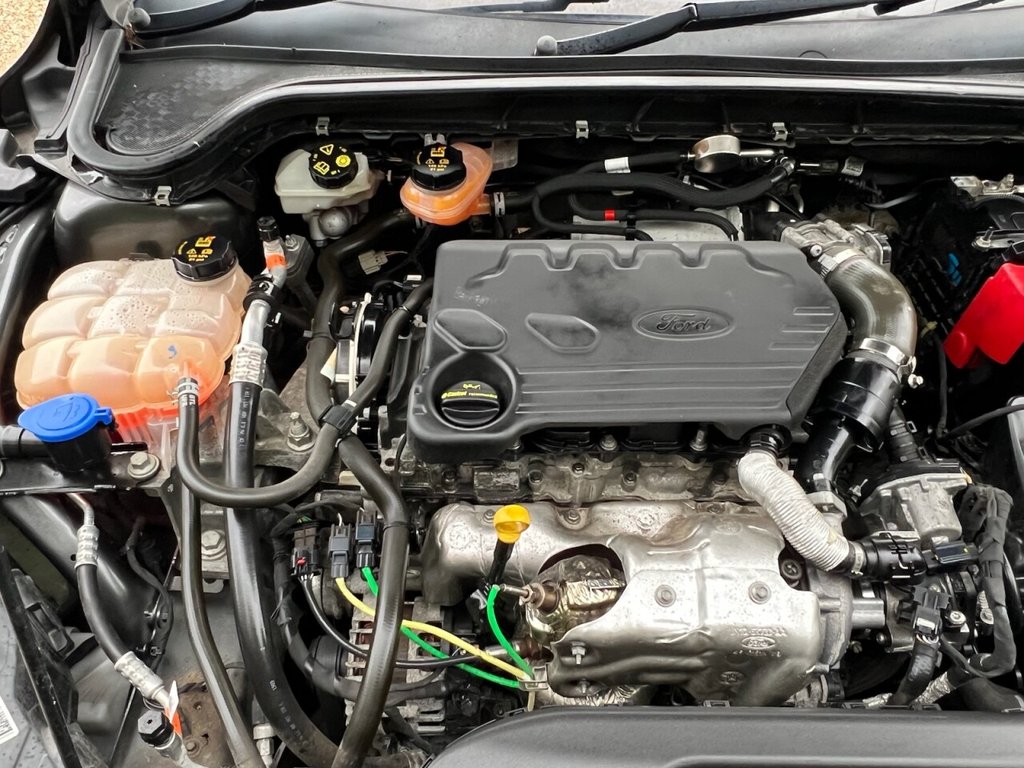 Used Ford Focus 2020 for sale - 77153729: Photo 16