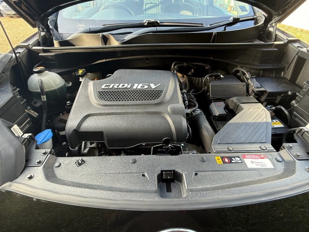 Used Kia Sportage 2017 for sale - 75739052: Photo 15