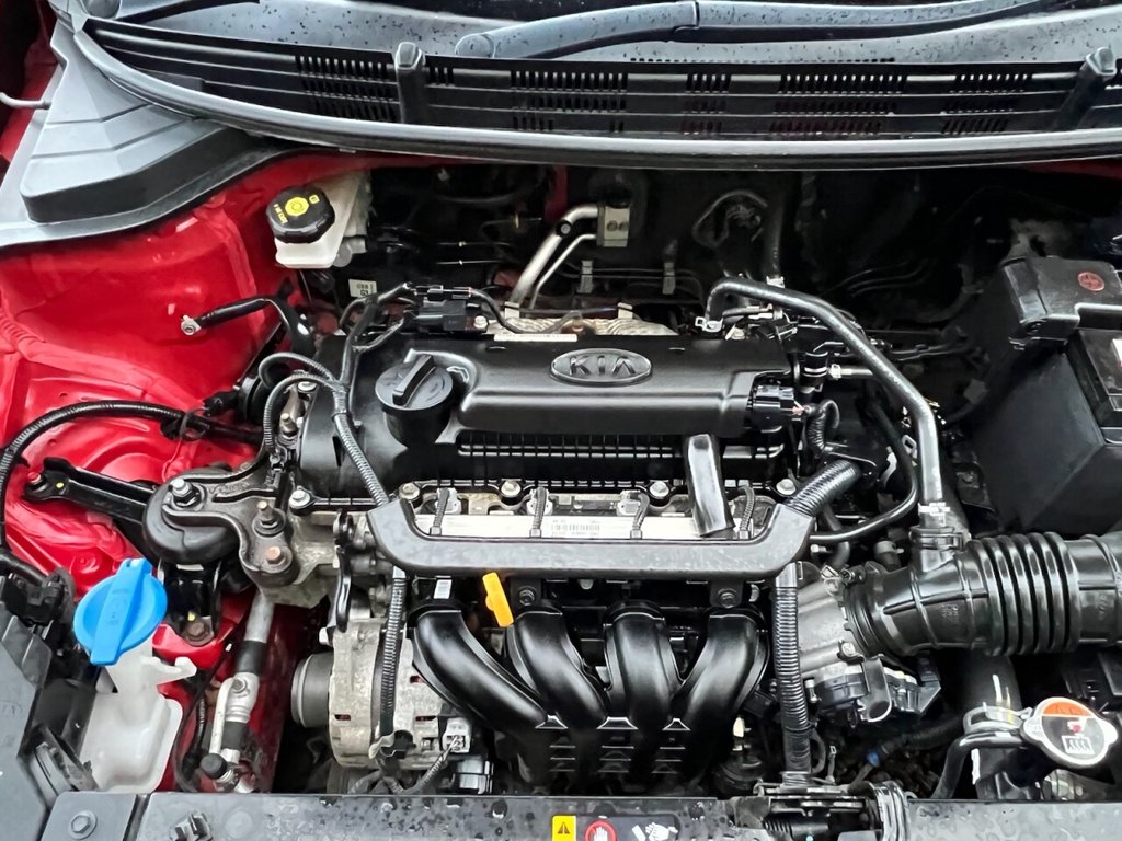 Used Kia Rio 2017 for sale - 76582362: Photo 16