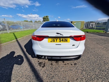 Used Jaguar XF 2016 for sale - 77555646: Photo