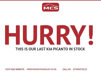 Used Kia Picanto 2019 for sale - 77981536: Photo