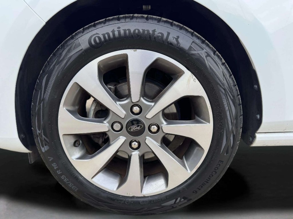 Used Ford Fiesta 2021 for sale - 77891000: Photo 12