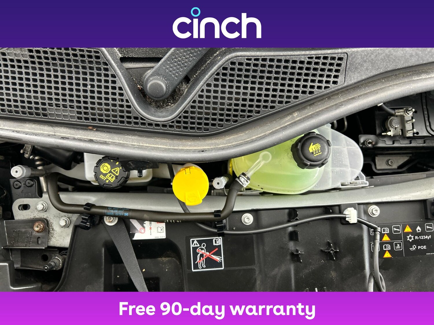 Used smart forfour 2020 for sale - 76758443: Photo 23